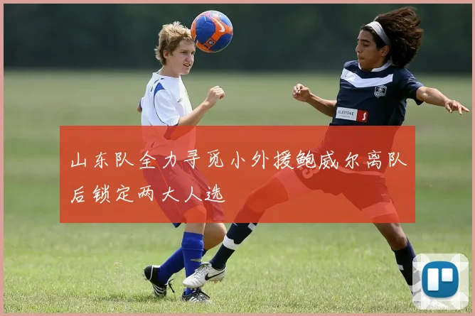 山东队全力寻觅小外援鲍威尔离队后锁定两大人选
