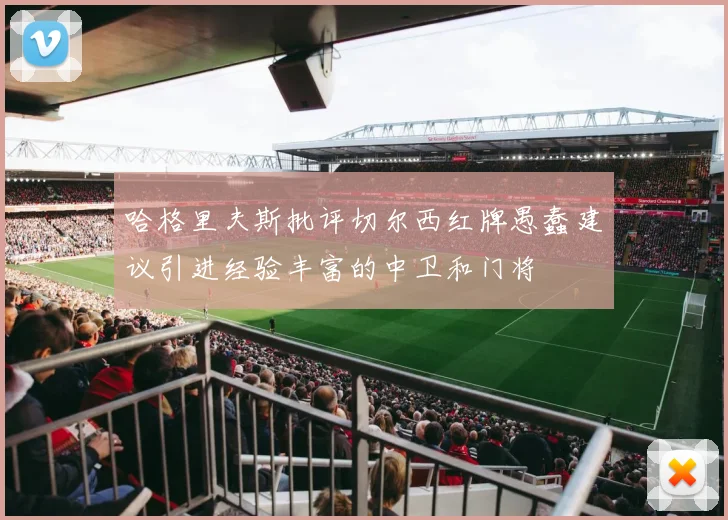 哈格里夫斯批评切尔西红牌愚蠢建议引进经验丰富的中卫和门将